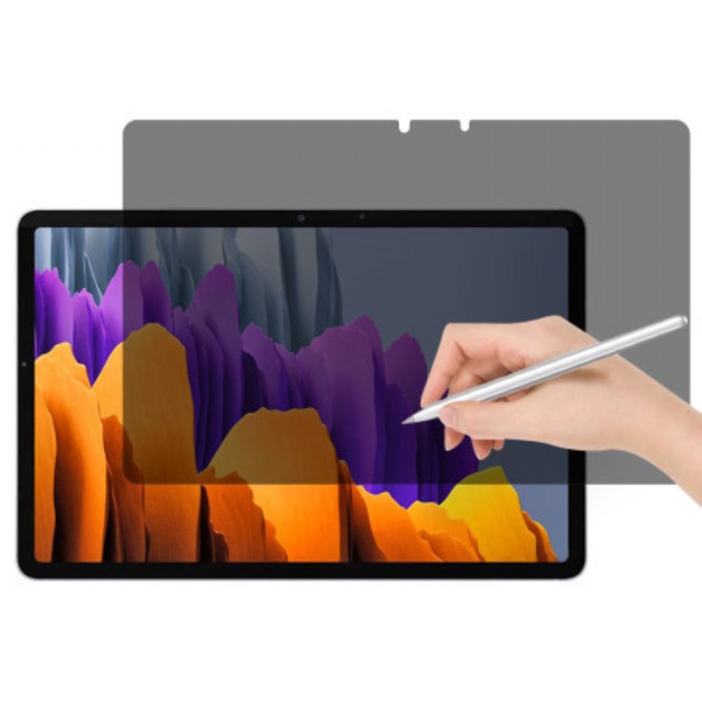 Anti-spionage Schermbeschermer Van Gehard Glas Voor Samsung Galaxy Tab S10 Lite / S10 Fe / S9 / S9 Fe / S8 / S7