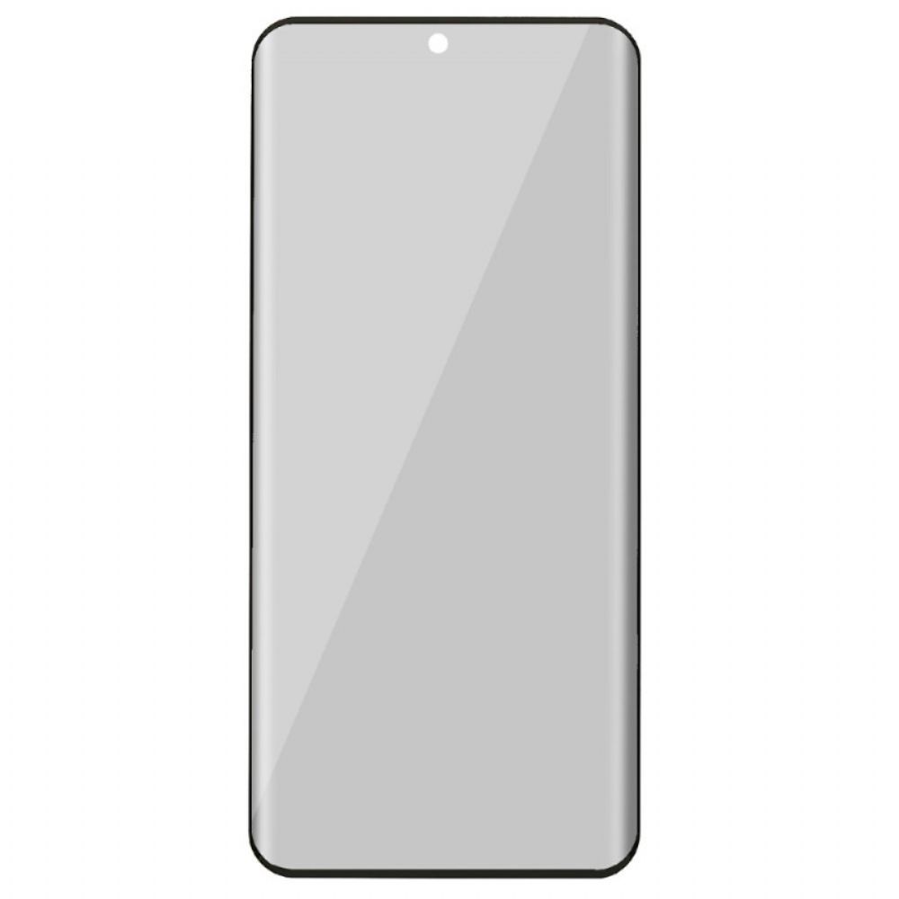 Anti-spionage Schermbeschermer Van Gehard Glas Voor Vivo X200 Pro